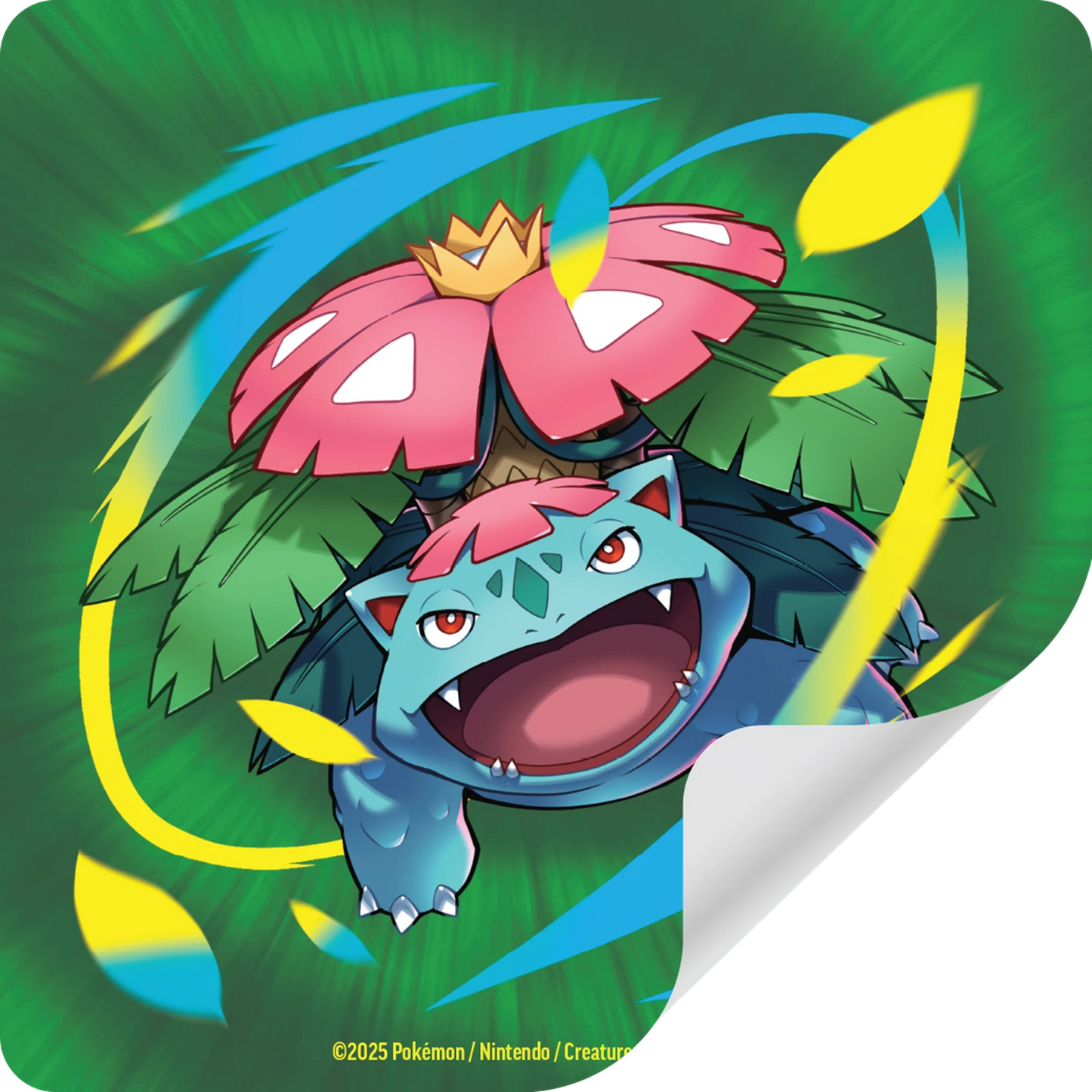 Coffret Collection Premium Pokémon Méga-Florizarre-ex 🇫🇷