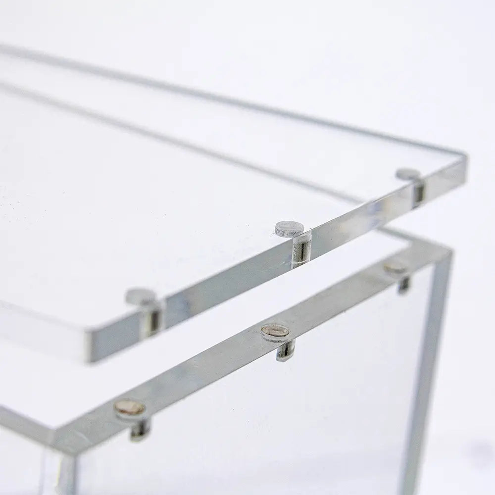 Phoenix Shield protection acrylique pour ETB Pokémon